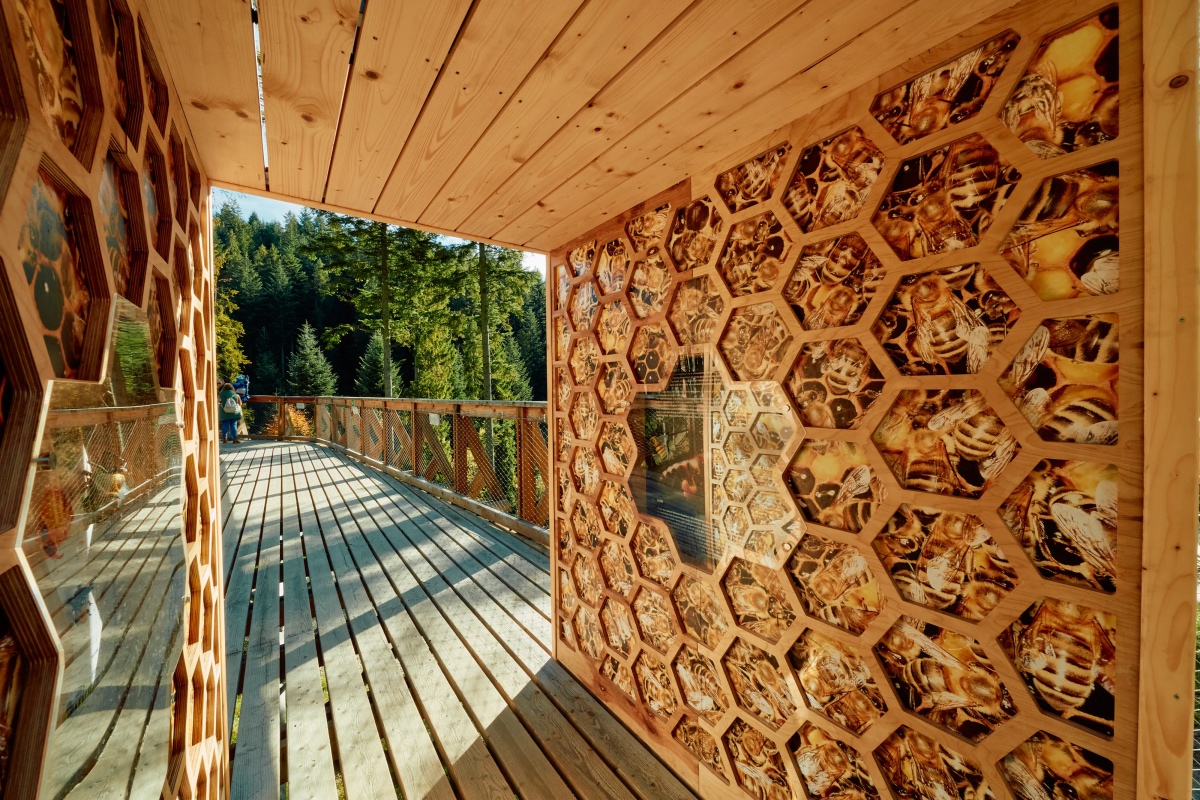 Brama w Gorce wejście