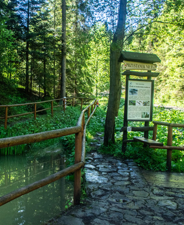 Leśnia ścieżka edukacujna Krzywoń