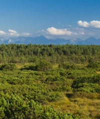 Najpiękniejsze szlaki w Gorcach - przewodnik po malowniczych trasach