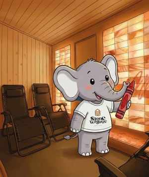 Lodowy Zamek Solankowej Magii